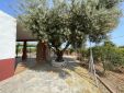 ZONA CARRT. ALCORA-CASTELLON DE LA PLANA